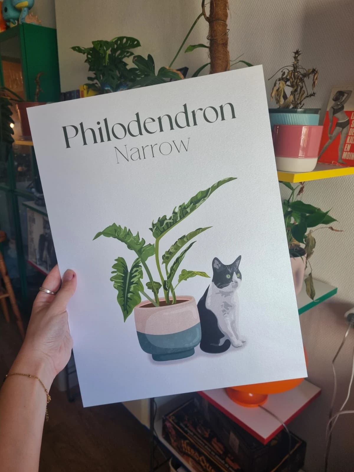 Affiche illustrée tenue en main montrant un chat noir et blanc près d'une plante en pot bicolore.