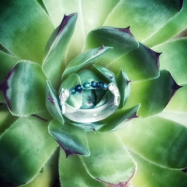 Détail de la bague artisanale en argent et agate mousse posée sur une plante succulente
